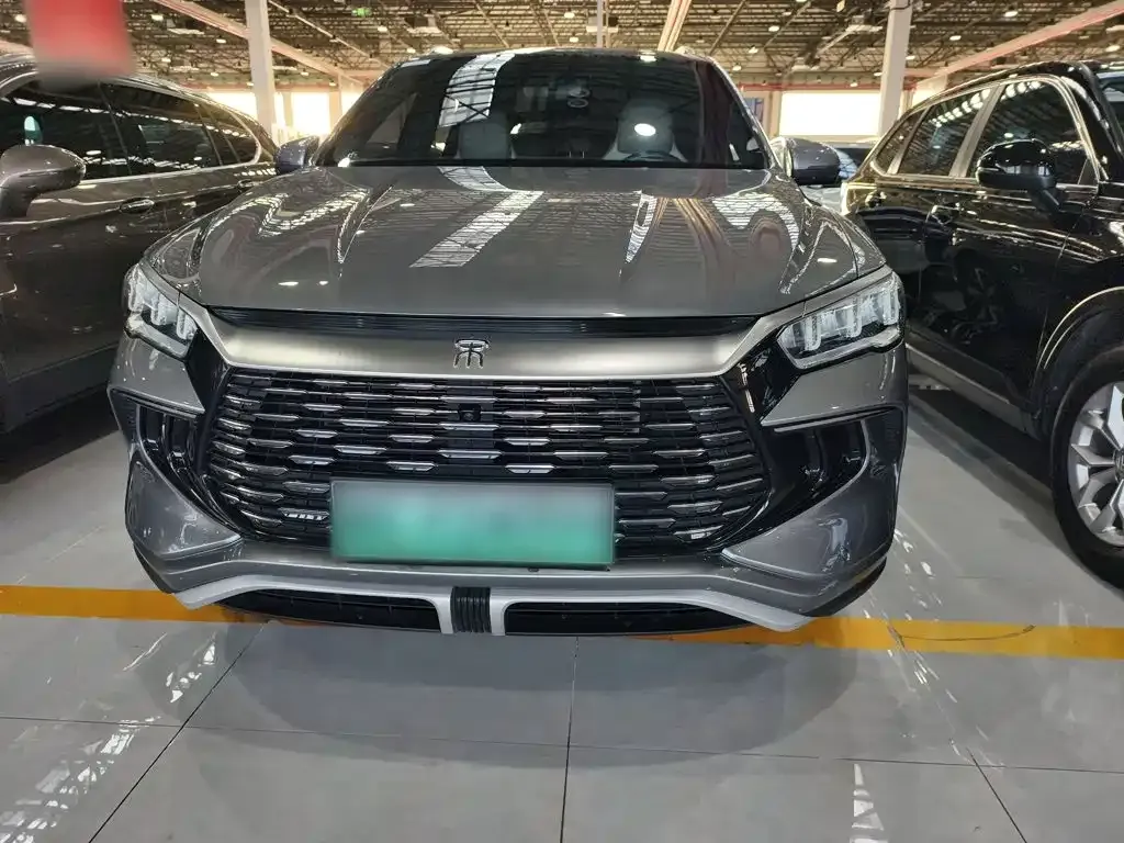 BYD Pro New Energy — фото 4