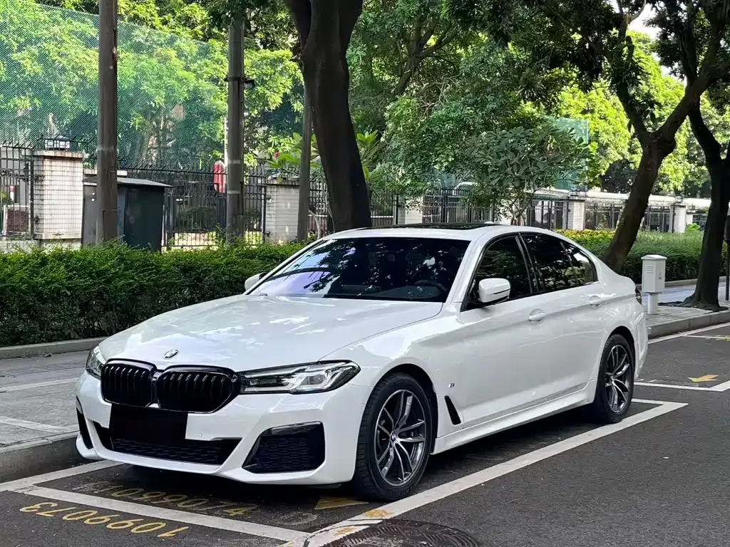 BMW 5 Series (Import) — фото 1