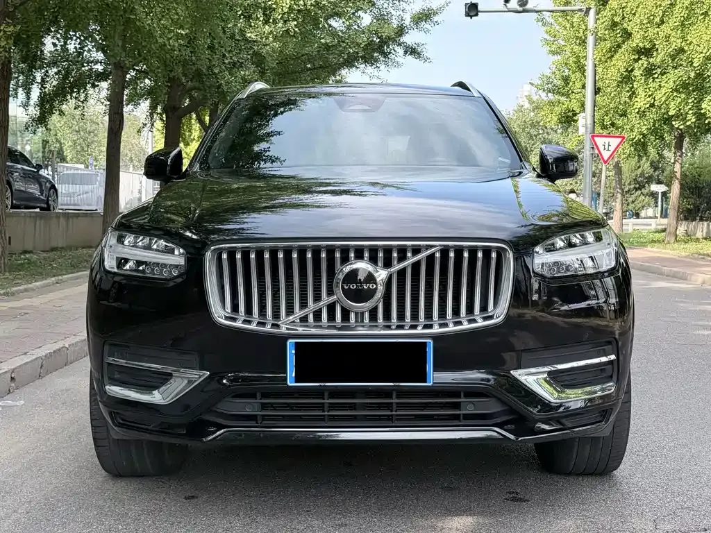 Volvo XC90 — фото 9