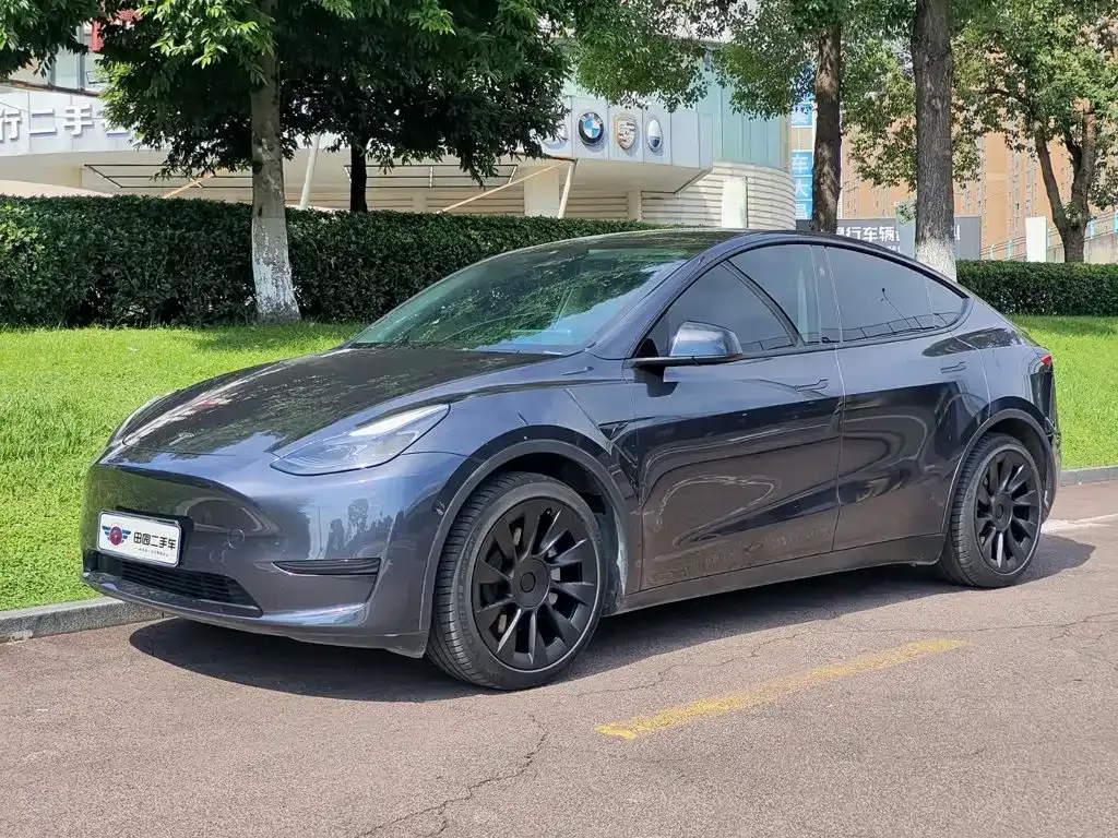 Tesla Model Y — фото 1