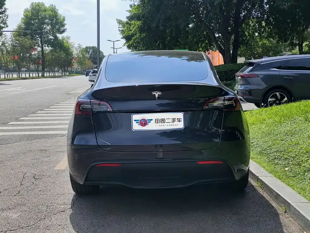 Tesla Model Y — фото 10