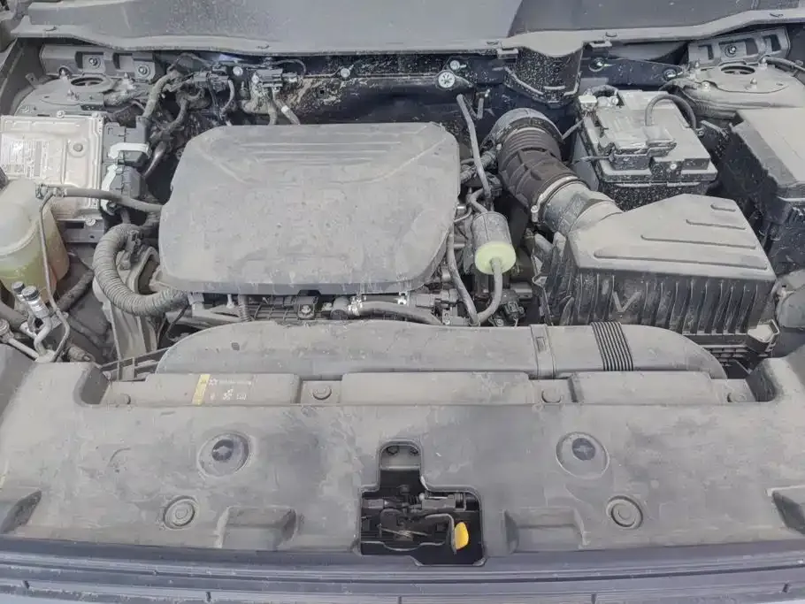 Haval Big Dog — фото 9