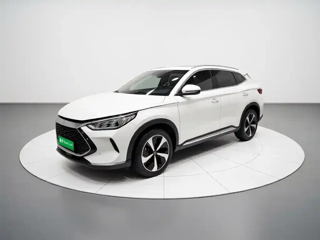 BYD PLUS New Energy — фото 1