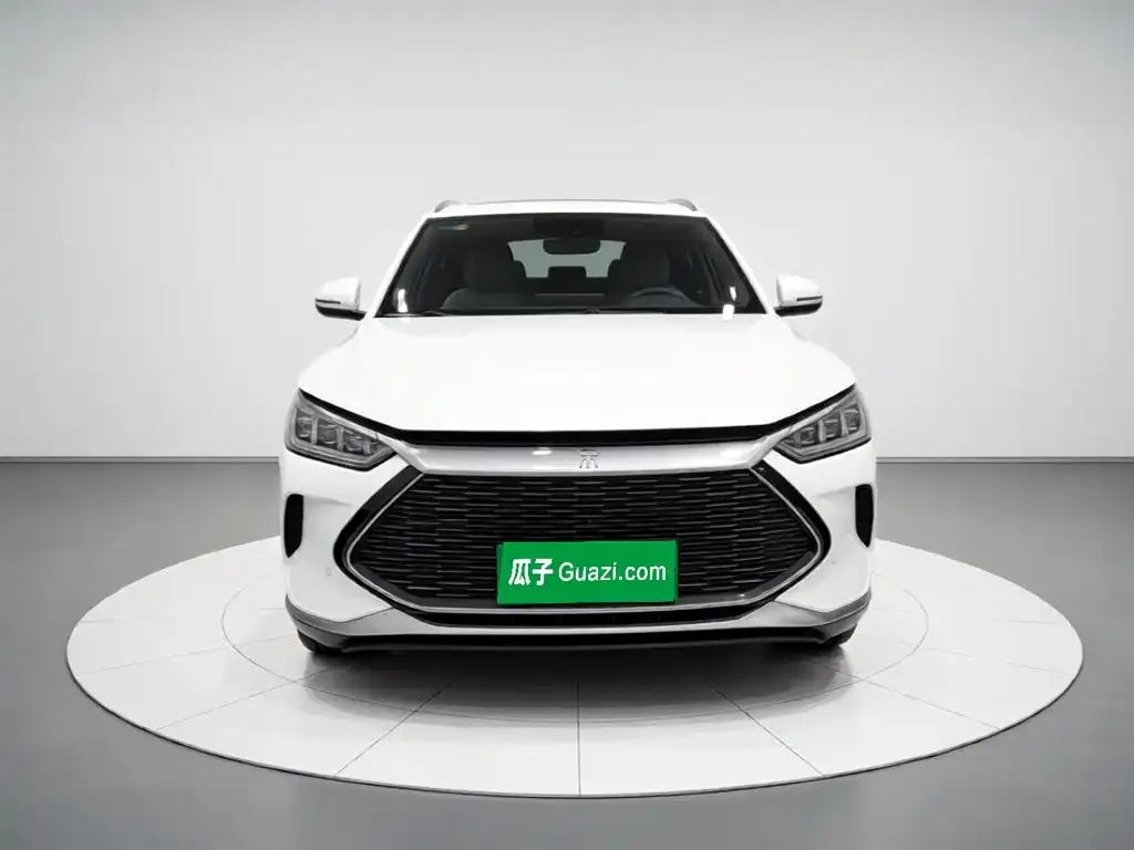 BYD PLUS New Energy — фото 2
