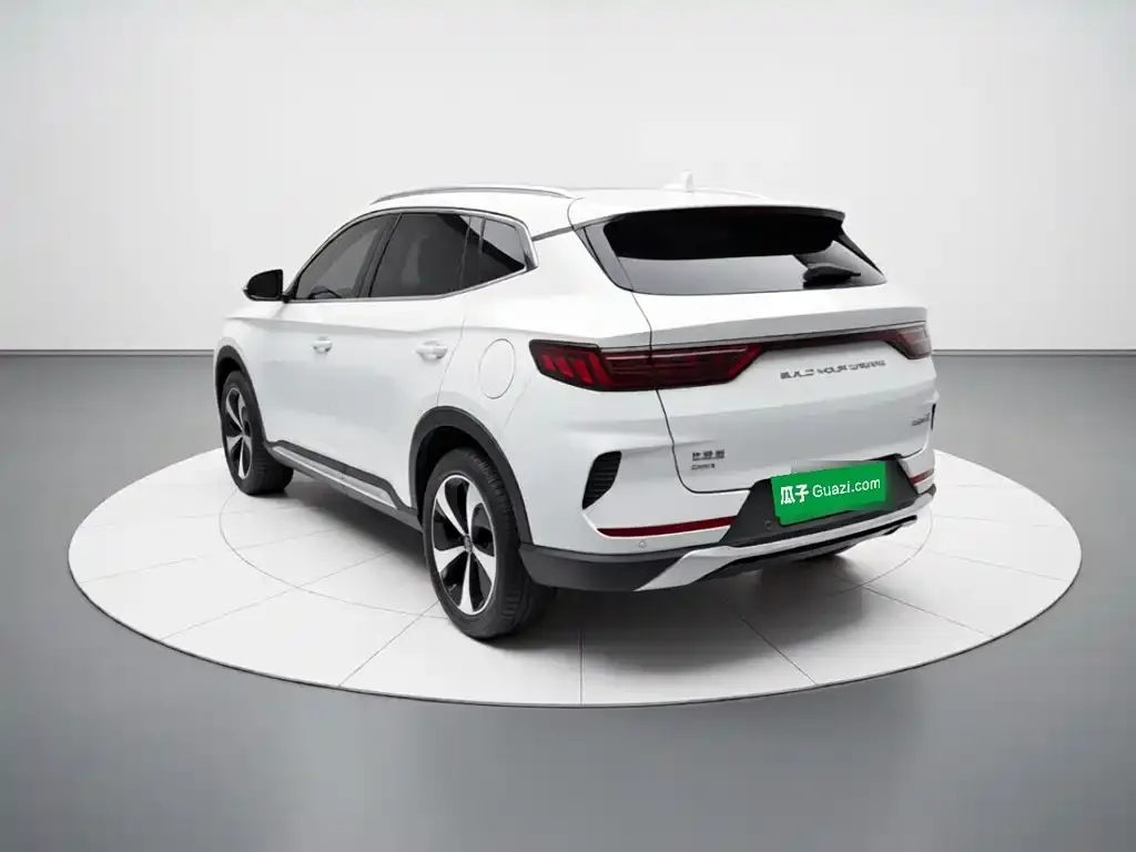 BYD PLUS New Energy — фото 6