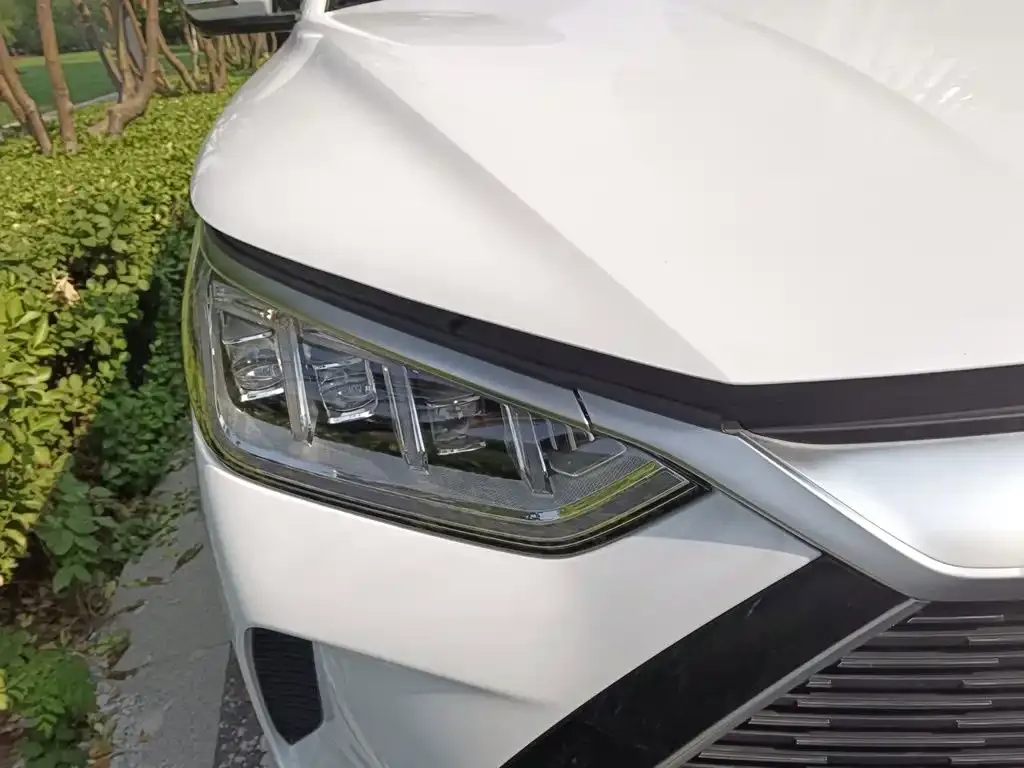 BYD PLUS New Energy — фото 4