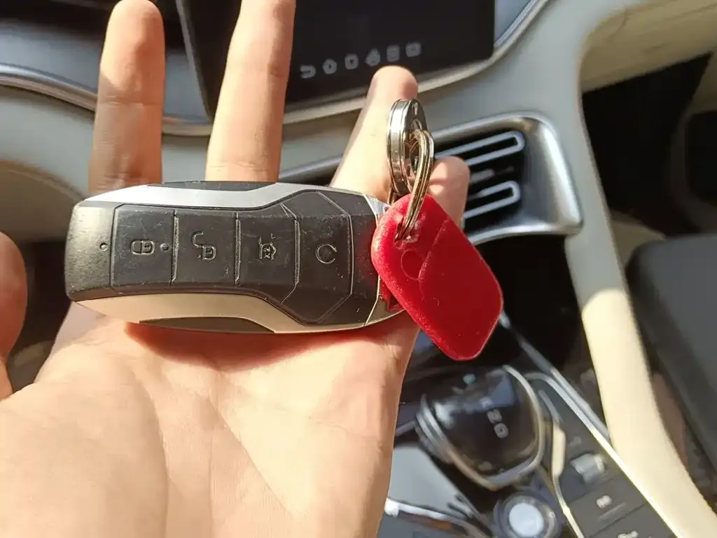 BYD PLUS New Energy — фото 10