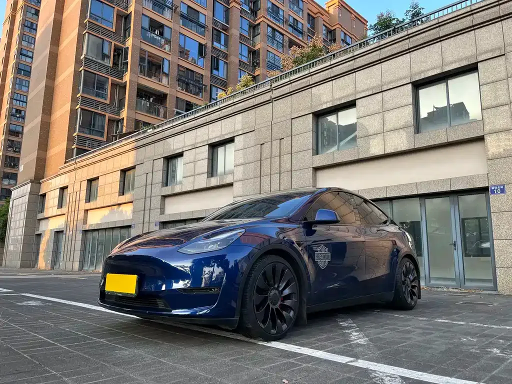 Tesla Model Y — фото 1