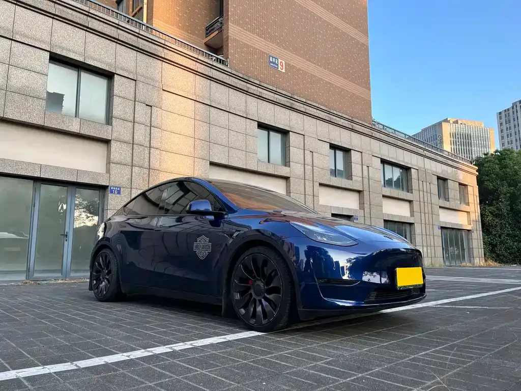 Tesla Model Y — фото 6