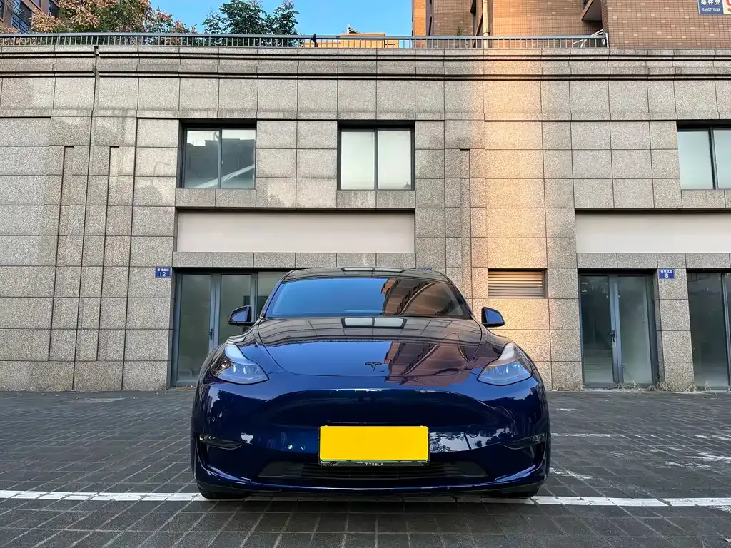 Tesla Model Y — фото 10