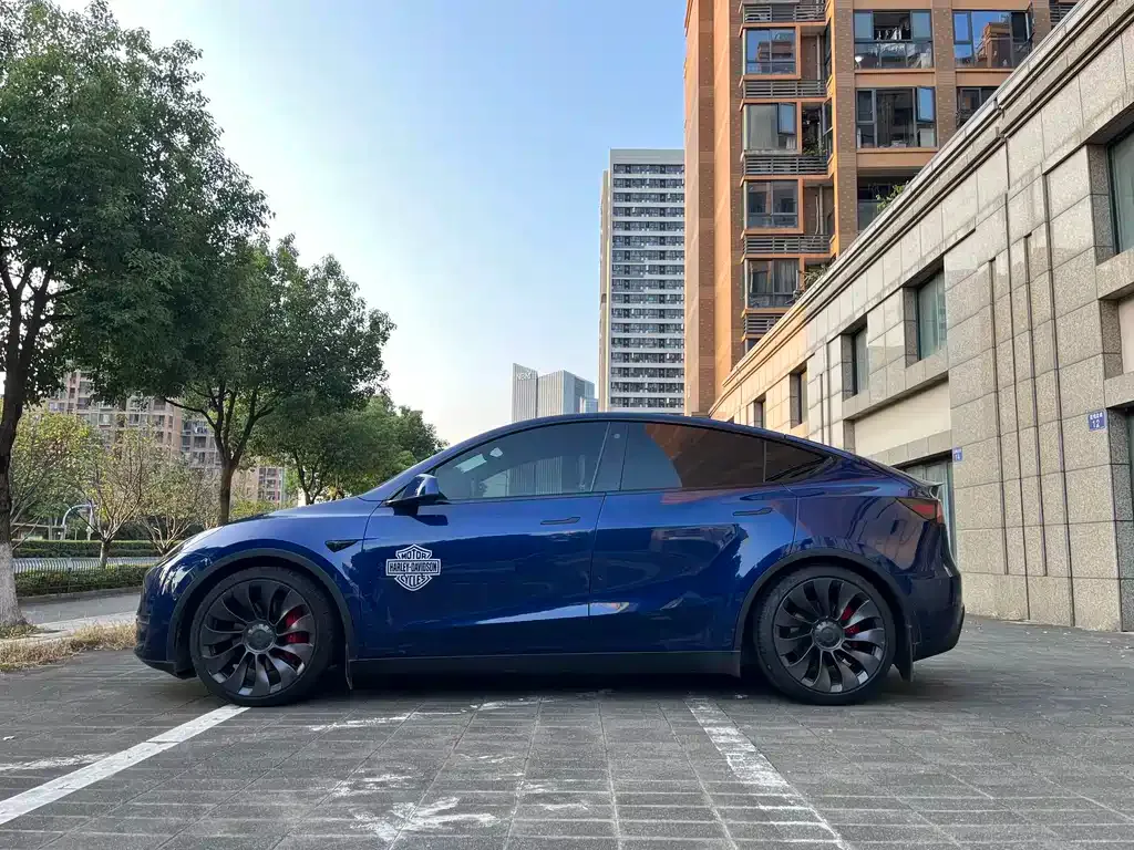 Tesla Model Y — фото 7