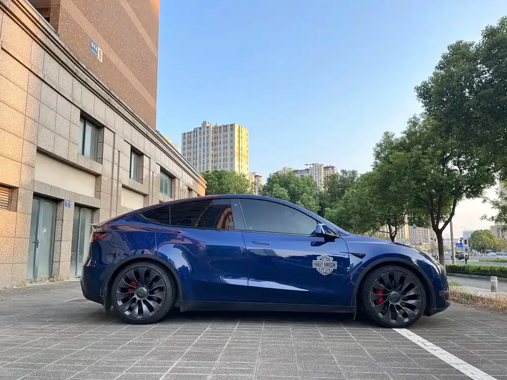 Tesla Model Y — фото 8