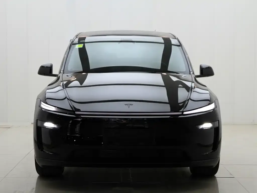 Tesla Model Y L — фото 6