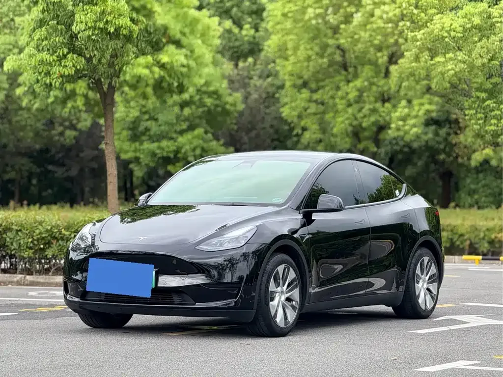 Tesla Model Y — фото 1