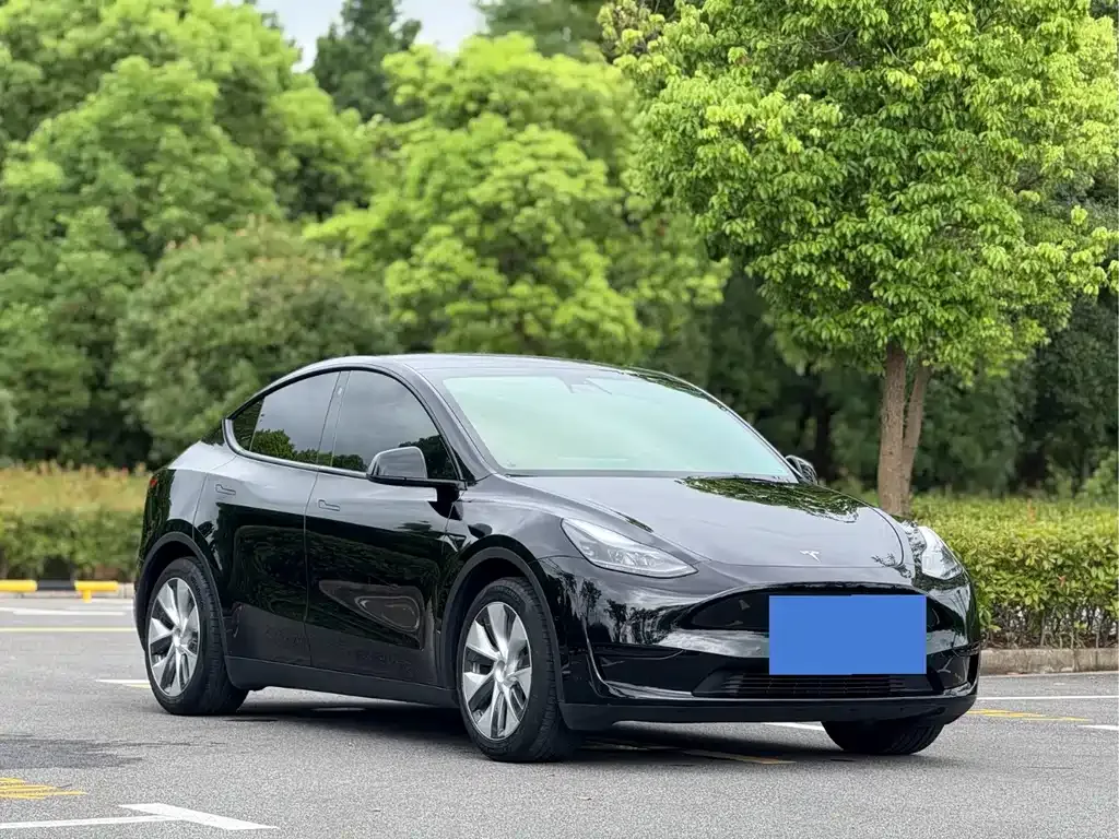 Tesla Model Y — фото 5