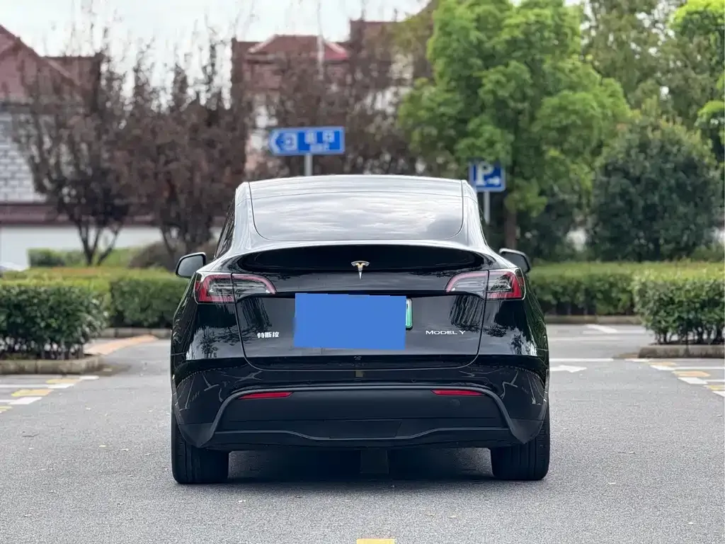 Tesla Model Y — фото 2