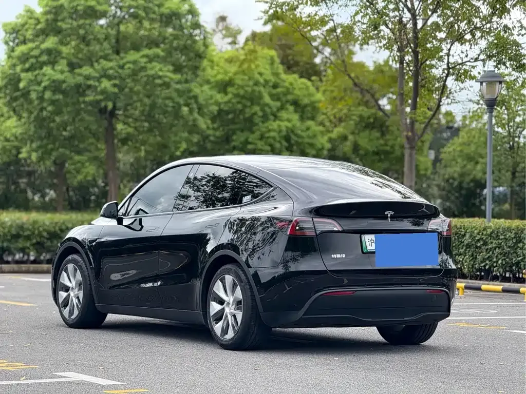 Tesla Model Y — фото 3