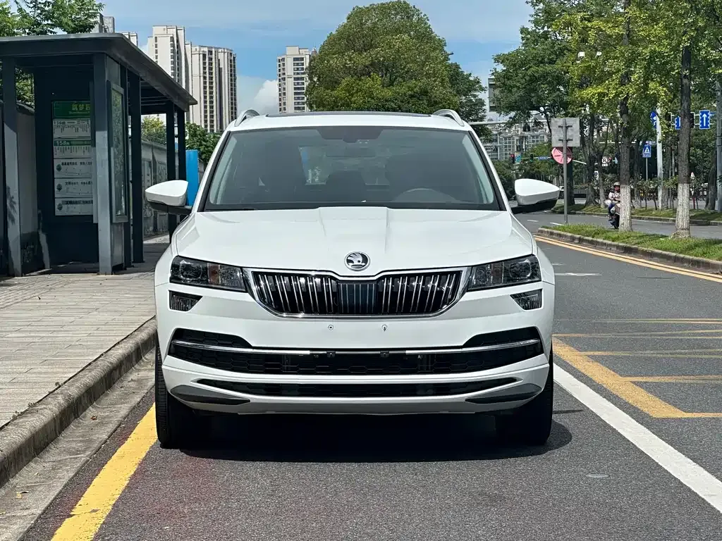 Skoda Karoq — фото 7