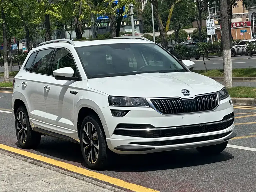 Skoda Karoq — фото 5
