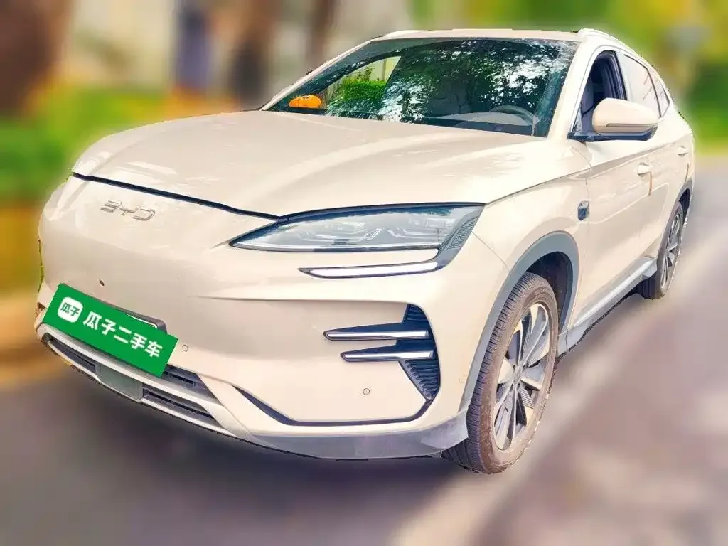 BYD PLUS New Energy — фото 1