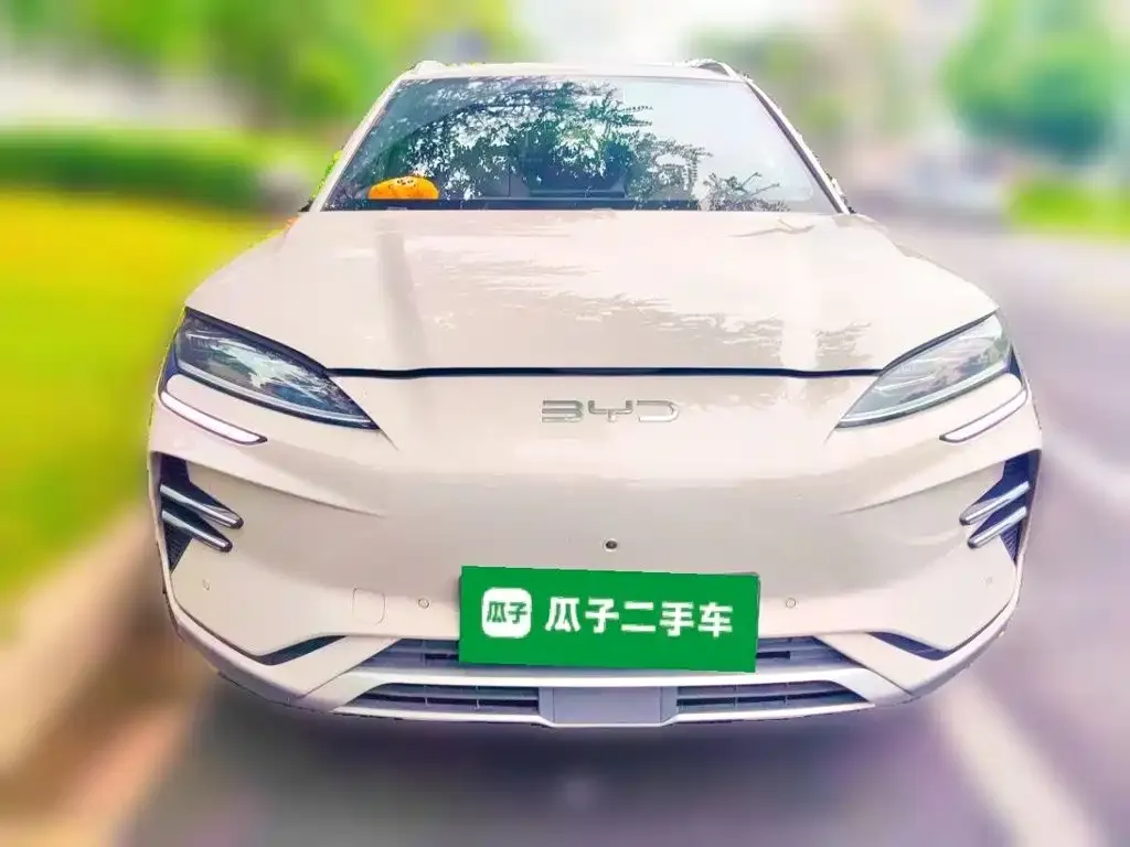 BYD PLUS New Energy — фото 2