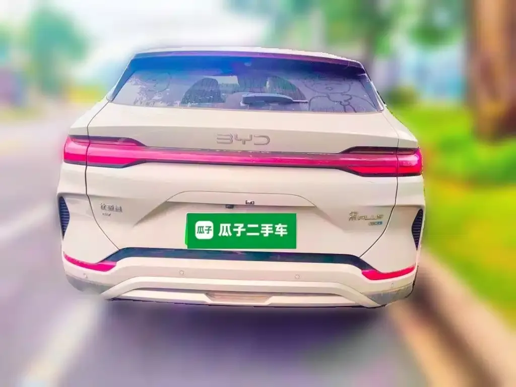 BYD PLUS New Energy — фото 3