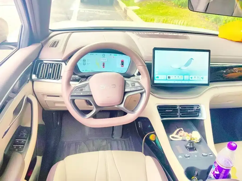 BYD PLUS New Energy — фото 10