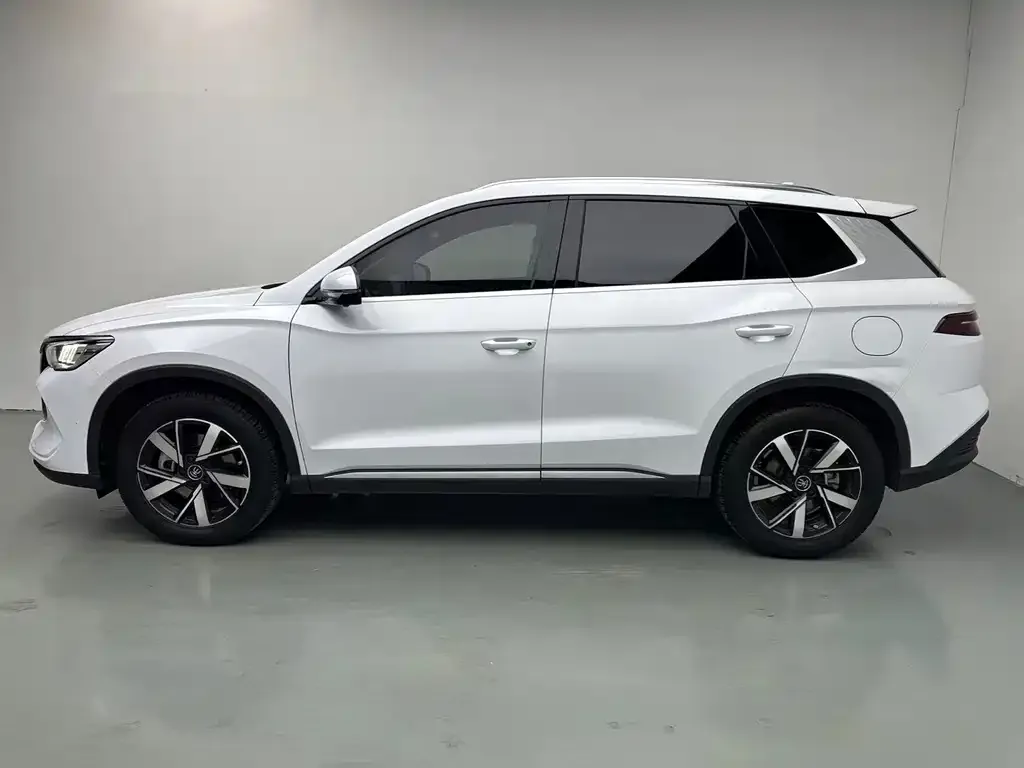 BYD Pro New Energy — фото 5