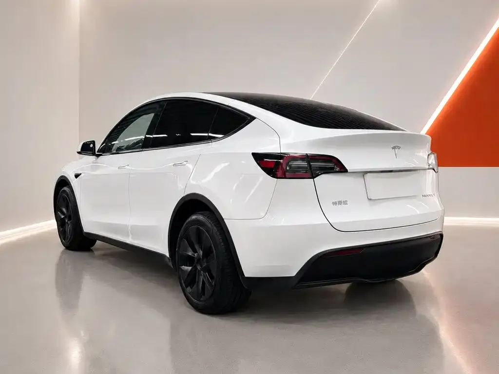 Tesla Model Y — фото 10