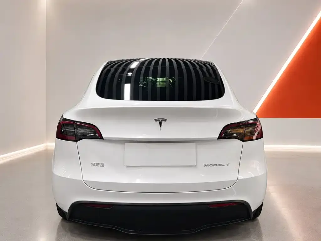 Tesla Model Y — фото 2