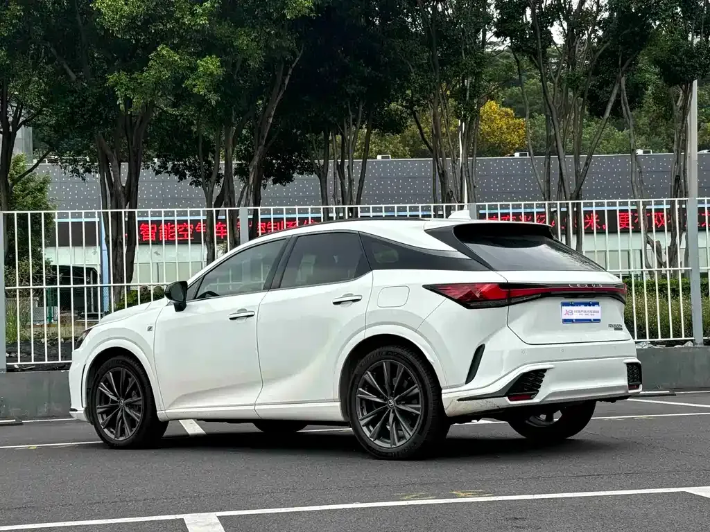 Lexus RX — фото 10