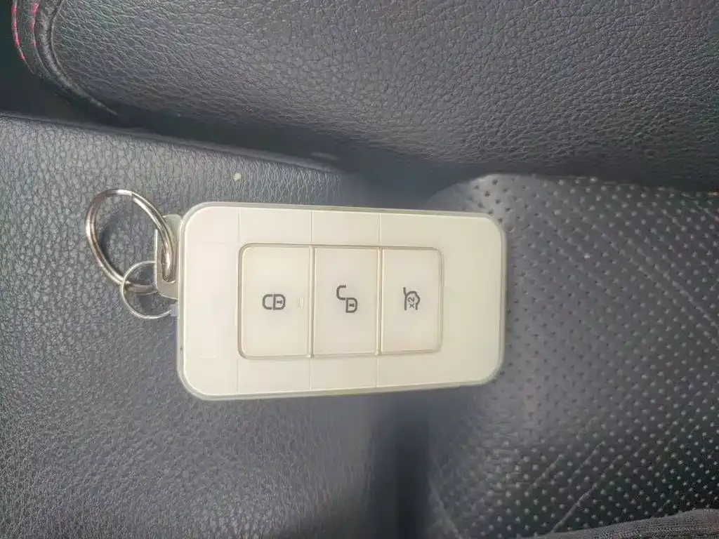 BYD PLUS New Energy — фото 10