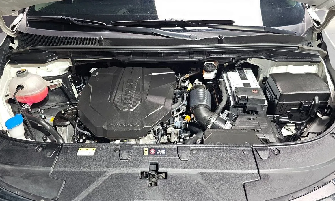Kia Carnival — фото 10