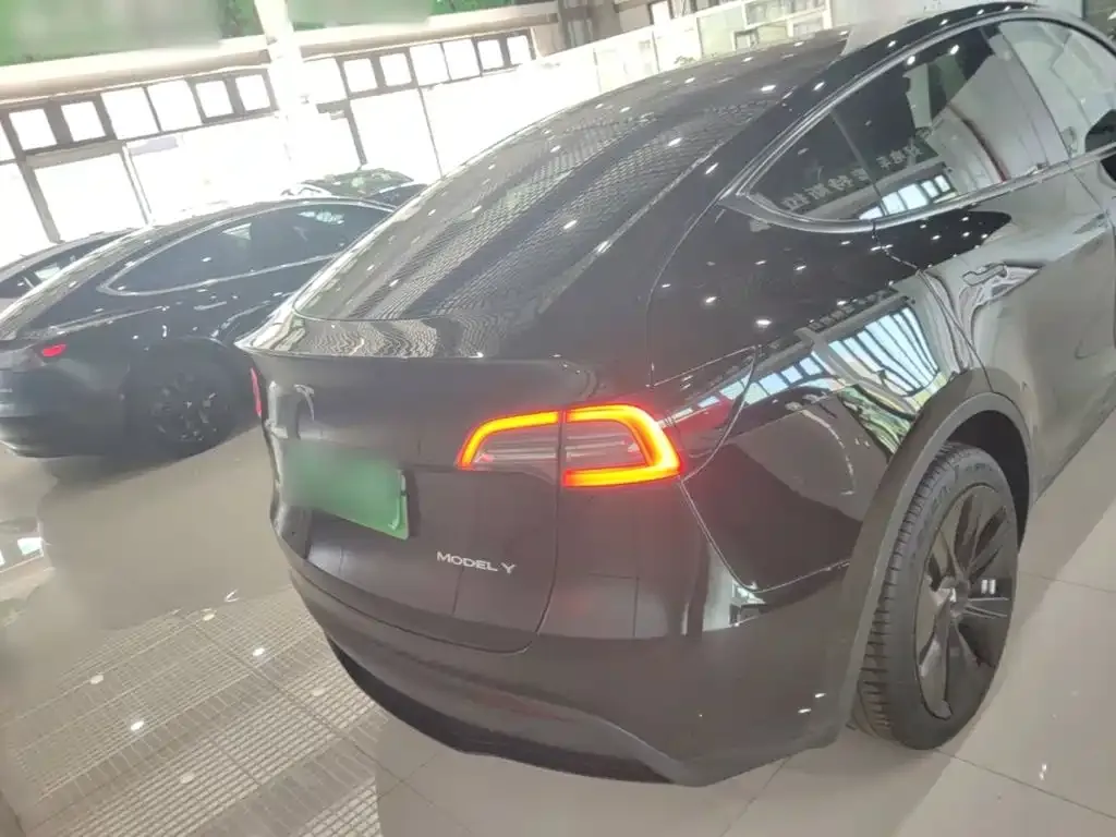 Tesla Model Y — фото 10
