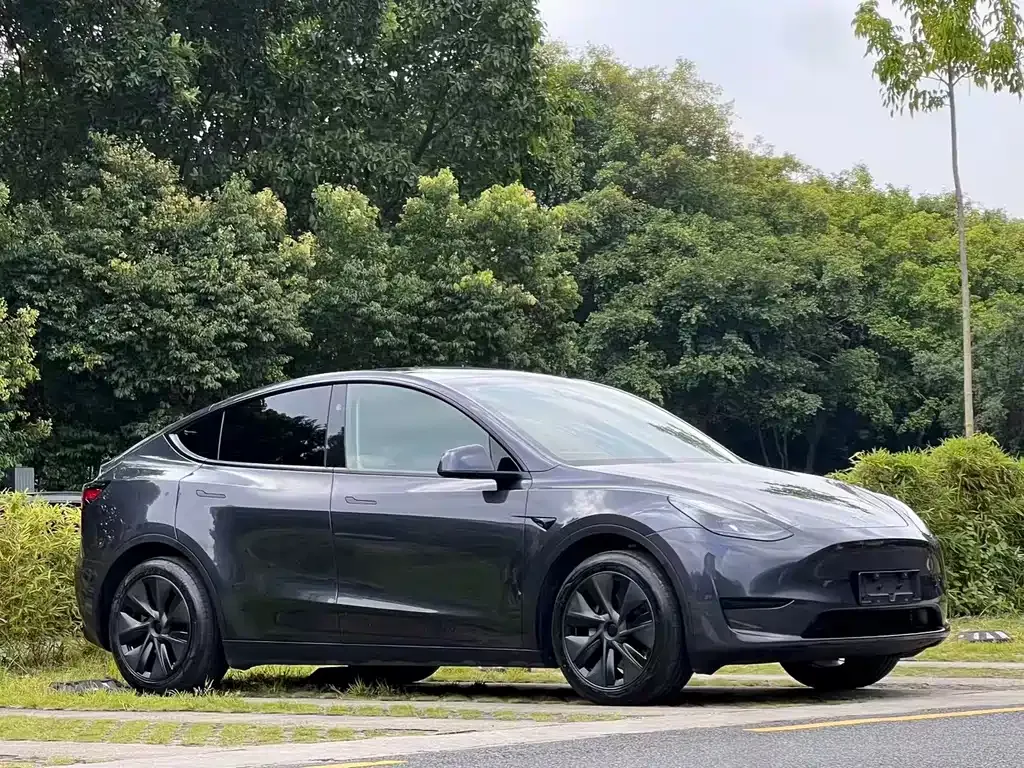 Tesla Model Y — фото 7