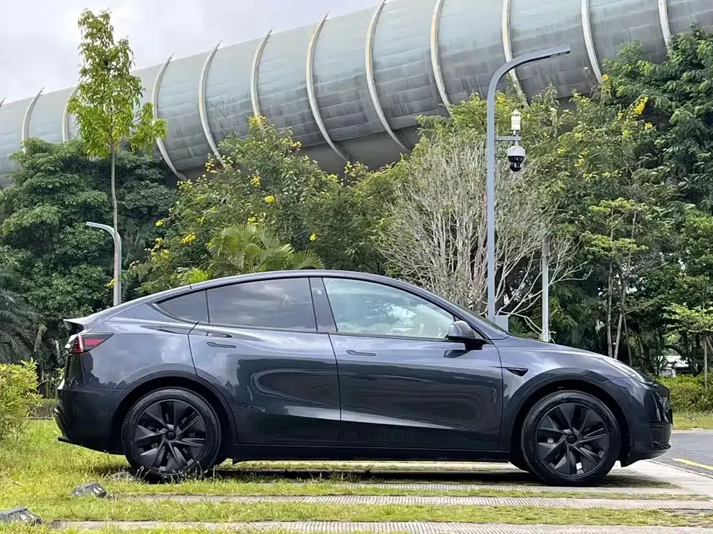 Tesla Model Y — фото 3