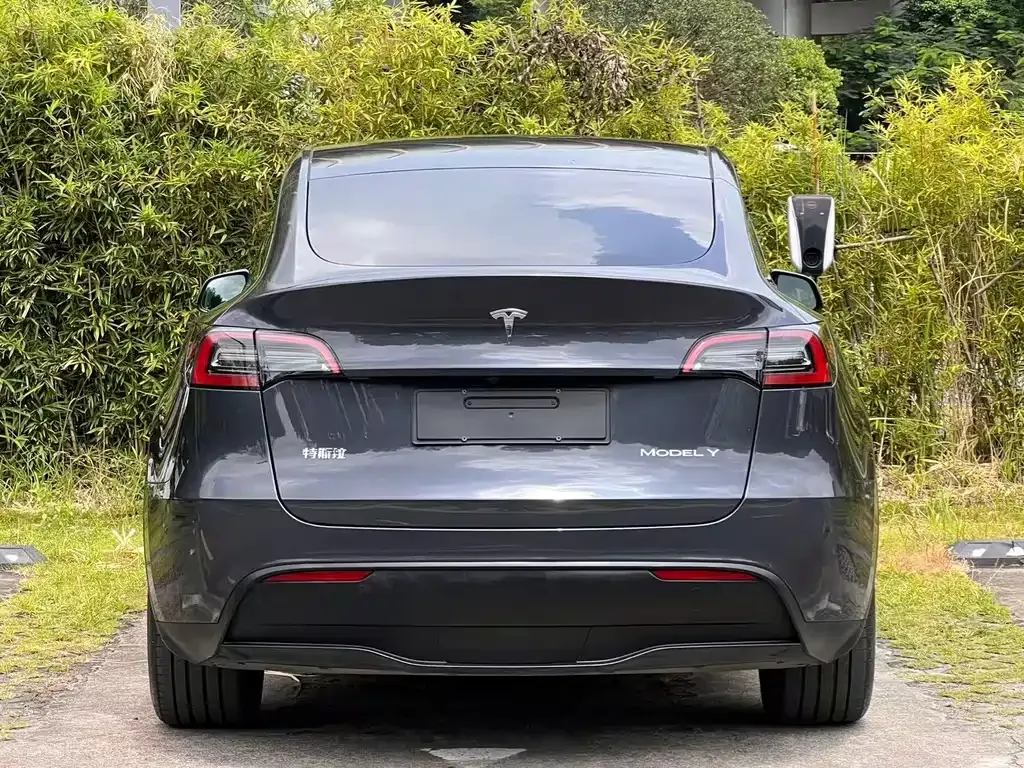 Tesla Model Y — фото 8
