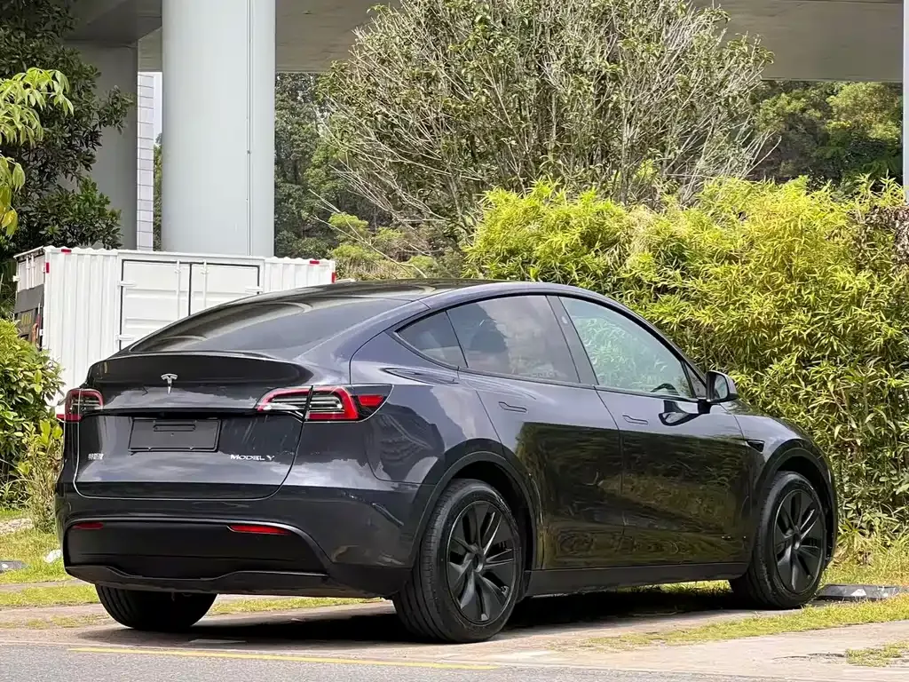 Tesla Model Y — фото 10