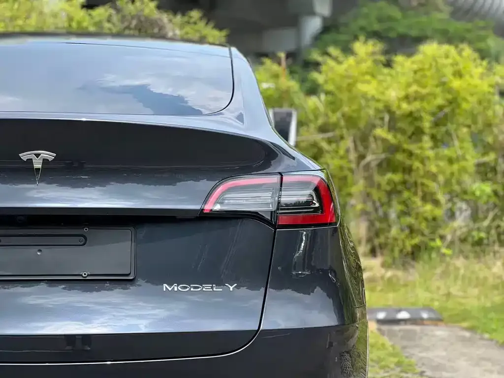 Tesla Model Y — фото 4