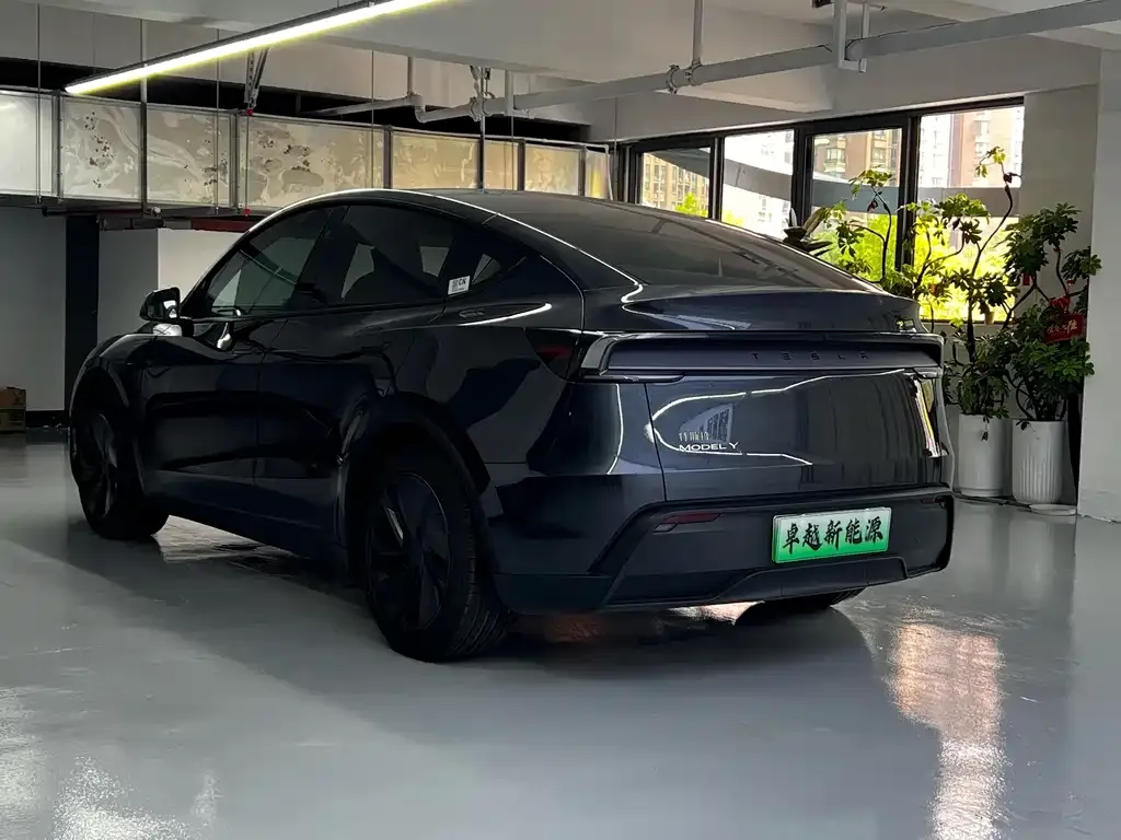 Tesla Model Y — фото 6