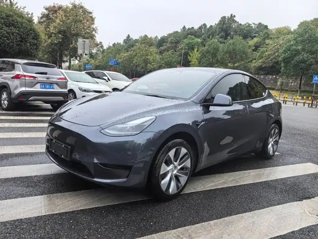 Tesla Model Y — фото 1