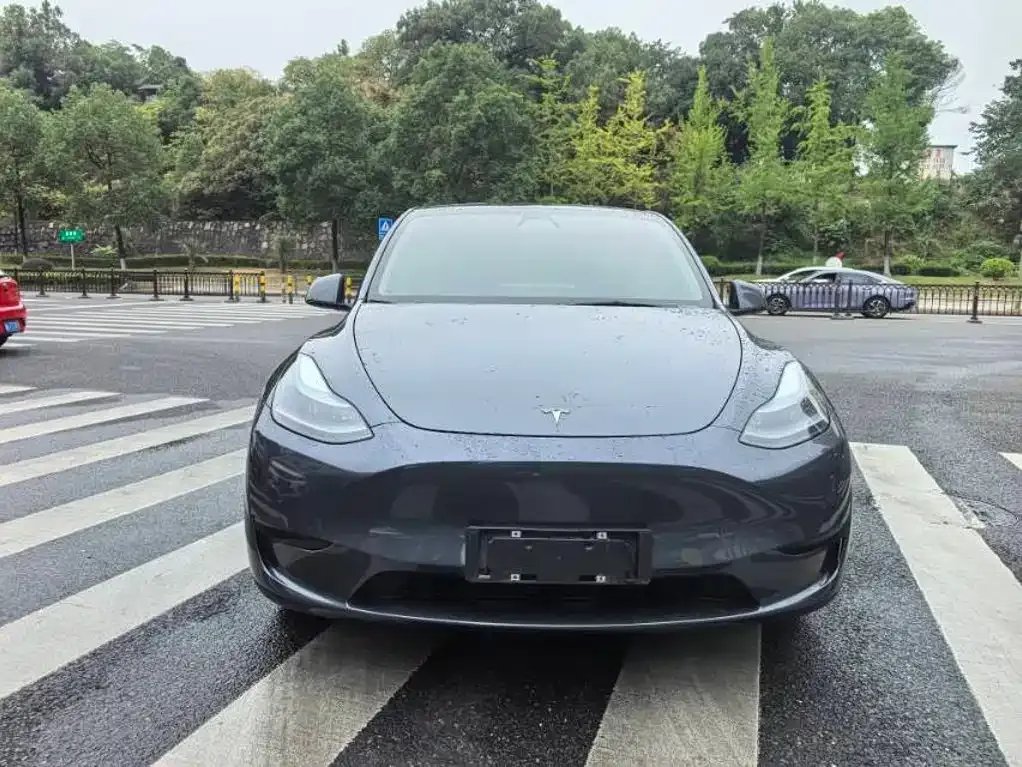 Tesla Model Y — фото 3