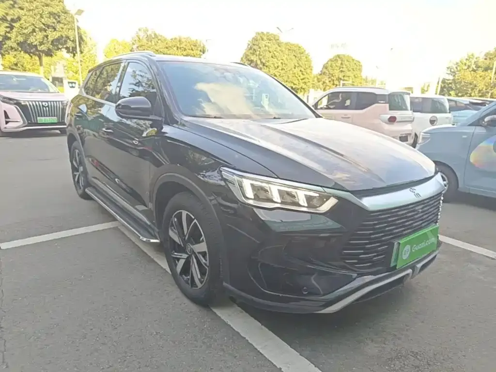 BYD Pro New Energy — фото 2