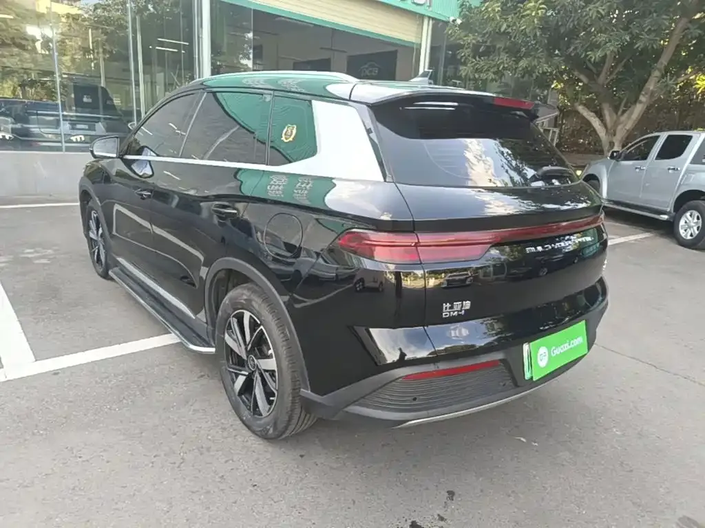 BYD Pro New Energy — фото 6