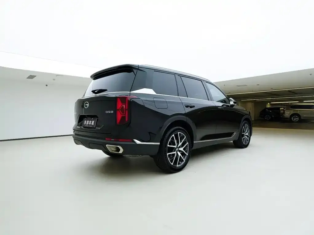 GAC Motor Trumpchi GS8 — фото 2