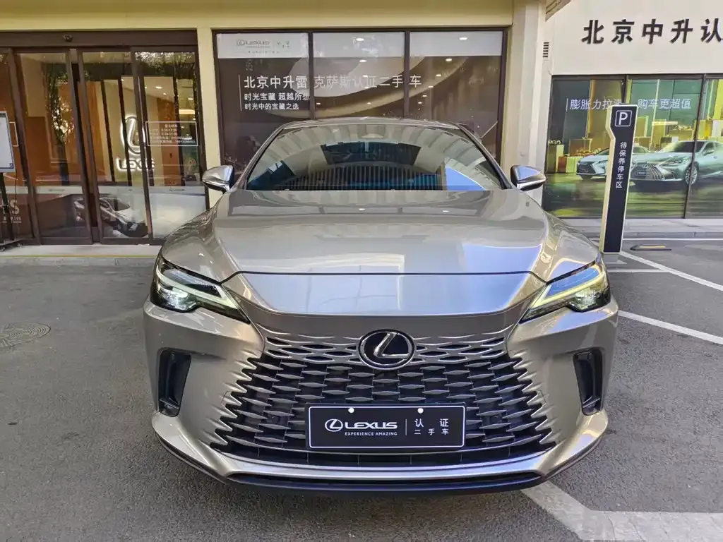 Lexus RX — фото 10