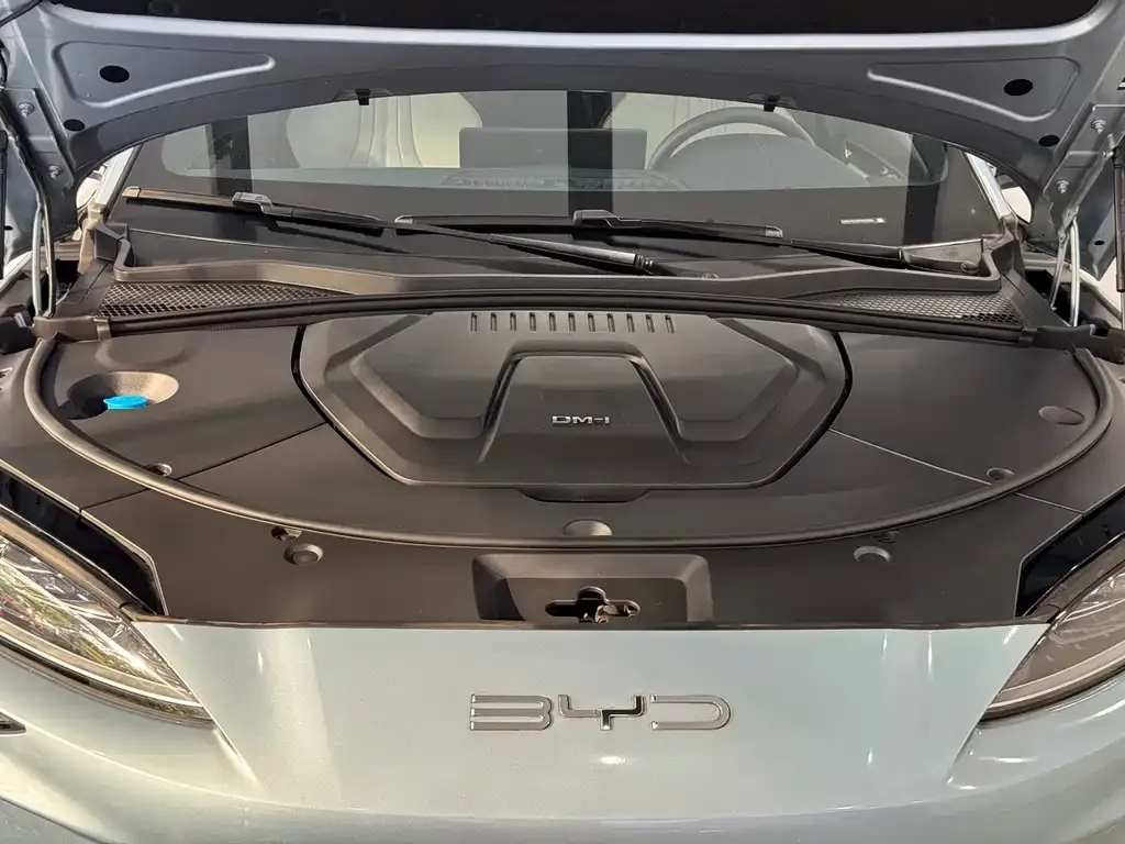 BYD PLUS New Energy — фото 7