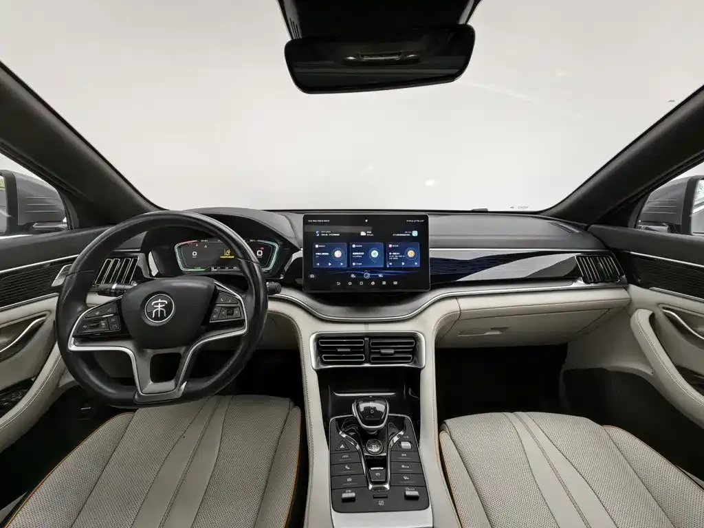 BYD PLUS New Energy — фото 10