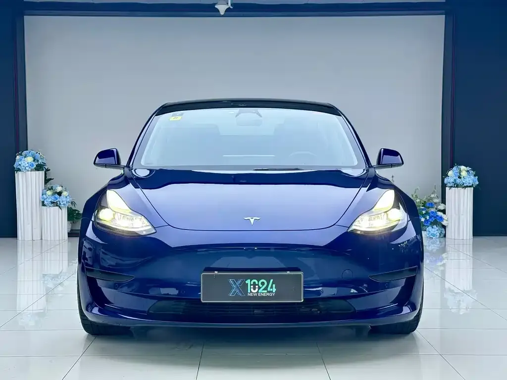 Tesla Model 3 — фото 2