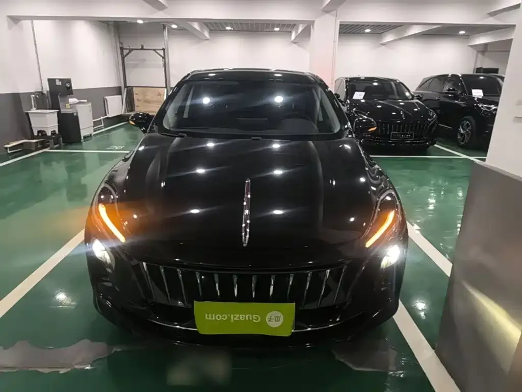 Hongqi E-QM5 — фото 3